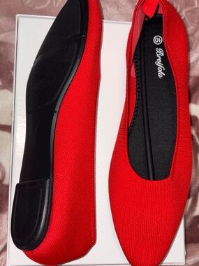 Red Pointed Toe Flats NWOB